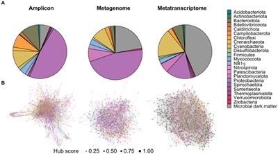 Integration of multi-omics data to elucidate keystone unknown taxa within microbialite-forming ecosystems